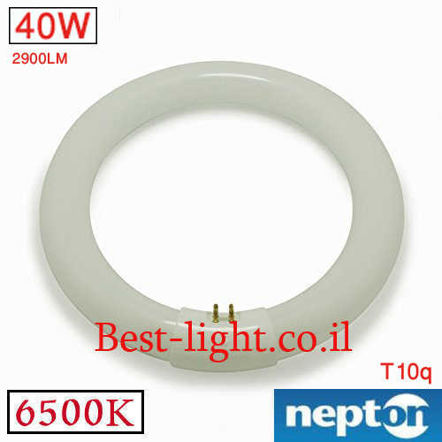 נורת פלורסנט עגולה Nepton T9 T10q 40W 6500k