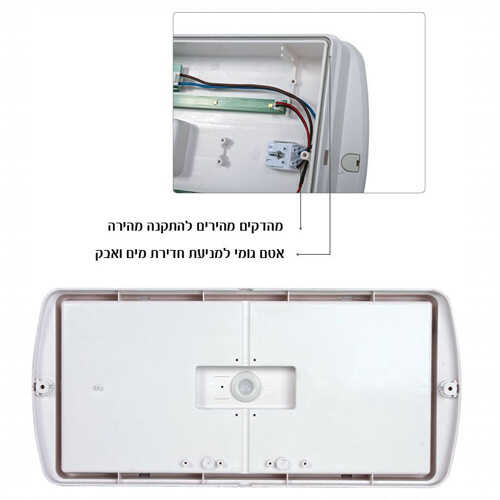 תמונת המוצר