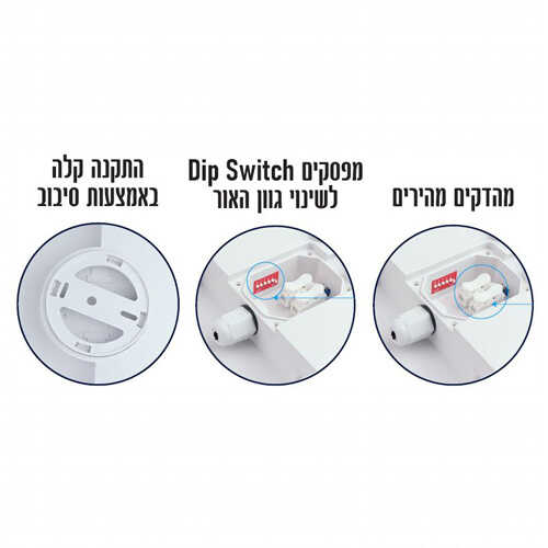 תמונת המוצר