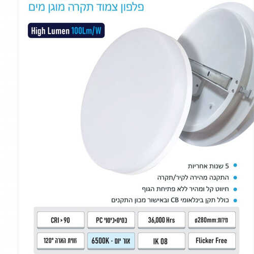 תמונת המוצר